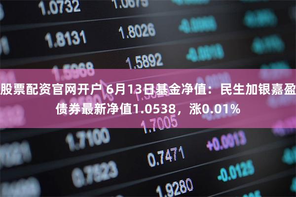 股票配资官网开户 6月13日基金净值：民生加银嘉盈债券最新净值1.0538，涨0.01%