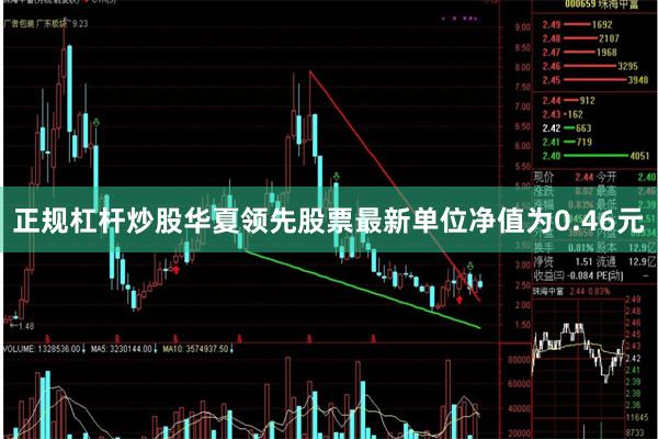 正规杠杆炒股华夏领先股票最新单位净值为0.46元