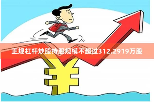 正规杠杆炒股持股规模不超过312.2919万股