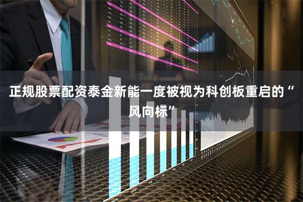 正规股票配资泰金新能一度被视为科创板重启的“风向标”