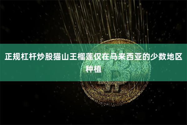 正规杠杆炒股猫山王榴莲仅在马来西亚的少数地区种植